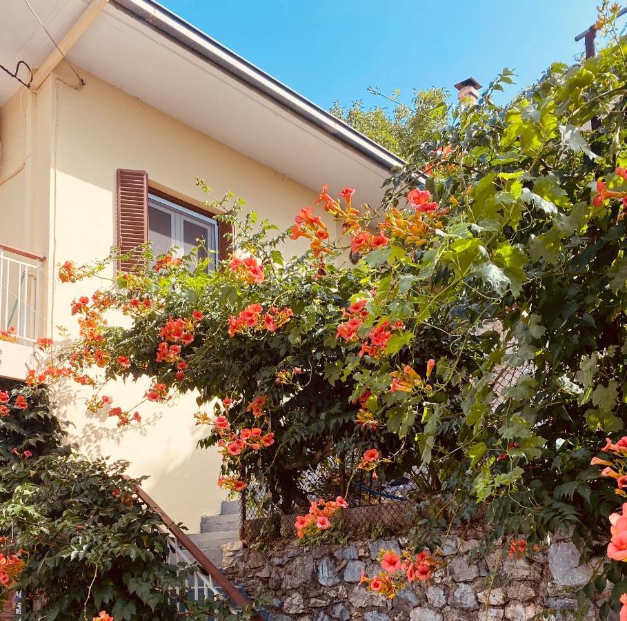 Ortansia Apartment Димицана Екстериор снимка
