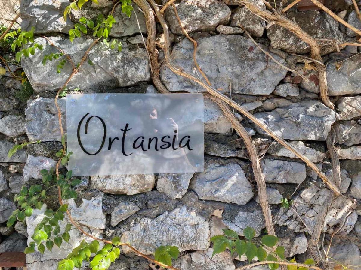 Ortansia Apartment Димицана Екстериор снимка