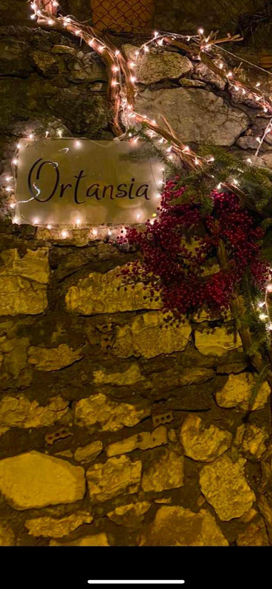 Ortansia Apartment Димицана Екстериор снимка